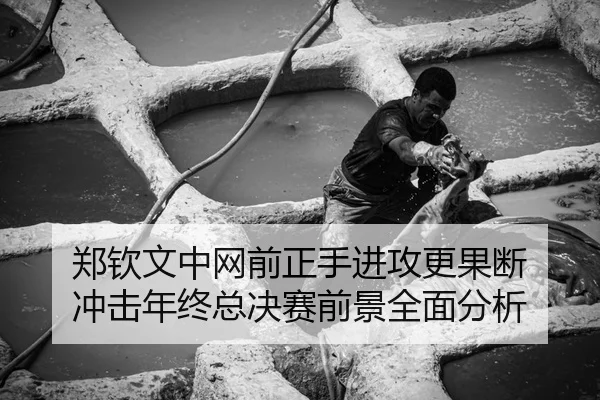 郑钦文中网前正手进攻更果断 冲击年终总决赛前景全面分析