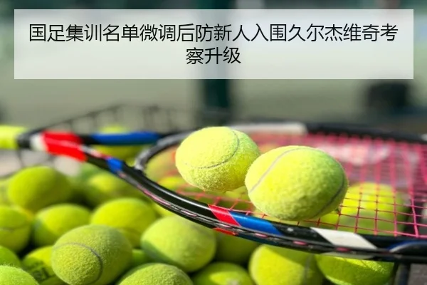 国足集训名单微调后防新人入围久尔杰维奇考察升级